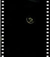 AS11-36-5310