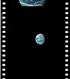 AS11-36-5333