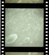 AS11-36-5406