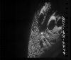 AS11-42-6274