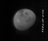 AS12-55-8239