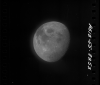 AS12-55-8253