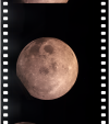 AS13-61-8765