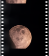 AS13-61-8769