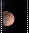AS13-61-8771