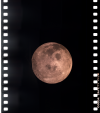 AS13-61-8782