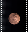 AS13-61-8783