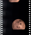 AS13-61-8785
