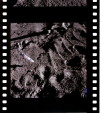 AS15-86-11572