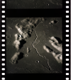 AS16-119-19171