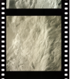 AS16-120-19228
