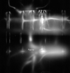 s66-63620_G12-U