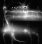 s66-63626_G12-U